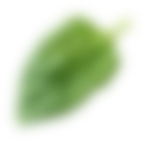 Blad dat rond zweeft