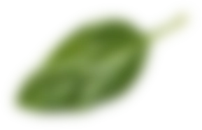 Blad dat rond zweeft